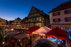 Bachfest bei Nacht 2016 // (c) Freundeskreis Walachei e.V. - mit freundlicher Genehmigung von Hubert Grimmig Photography