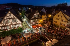 Bachfest bei Nacht 2016 // (c) Freundeskreis Walachei e.V. - mit freundlicher Genehmigung von Hubert Grimmig Photography