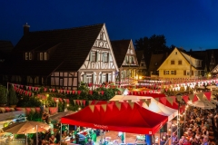 Bachfest bei Nacht 2016 // (c) Freundeskreis Walachei e.V. - mit freundlicher Genehmigung von Hubert Grimmig Photography