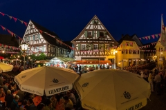 Bachfest bei Nacht 2016 // (c) Freundeskreis Walachei e.V. - mit freundlicher Genehmigung von Hubert Grimmig Photography